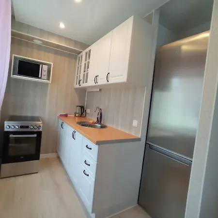 Apartman New Voidu In Center *